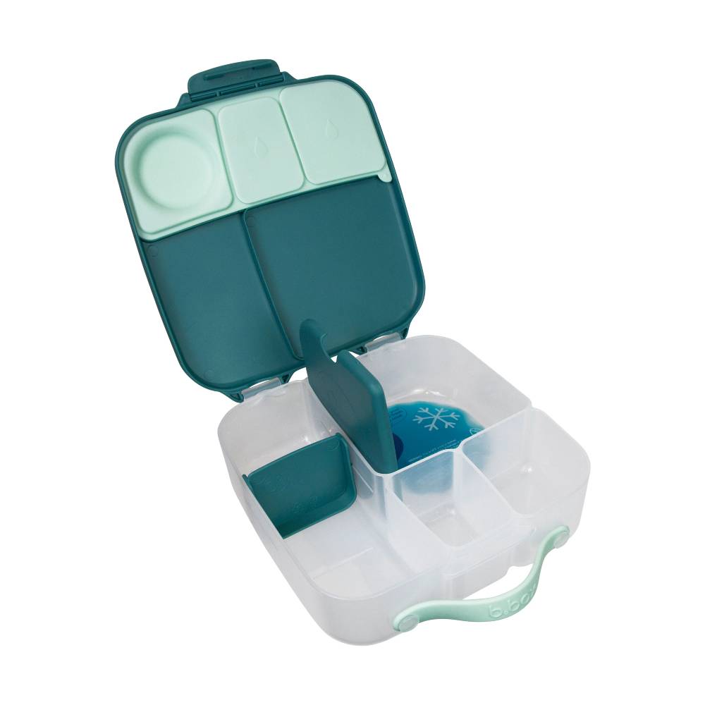 B. Box Lunchbox Emerald Forest