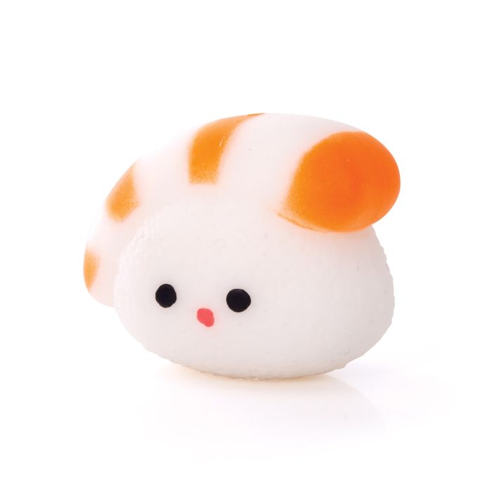 Discovery Zone Squishy Sushi