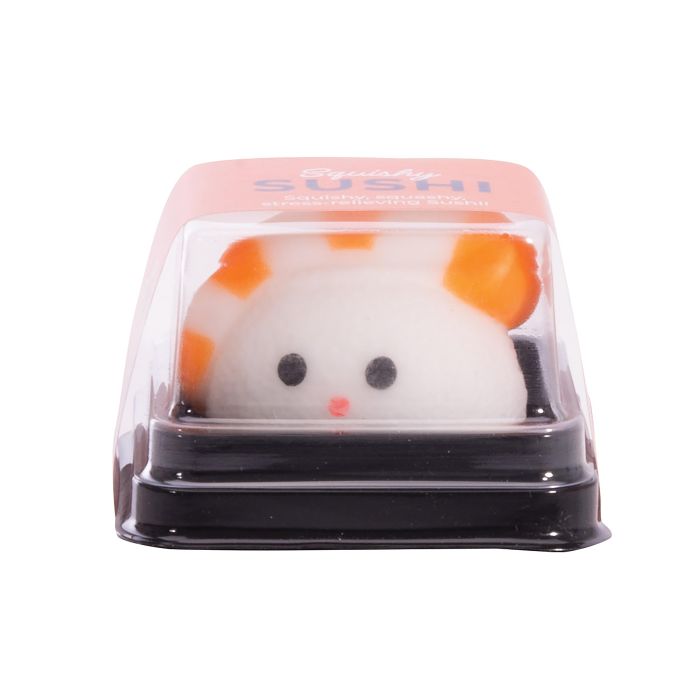 Discovery Zone Squishy Sushi