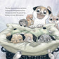 Patrick & George - New Siblings & A Search For Love