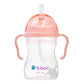 B. Box Sippy Cup V2 Tutti Frutti