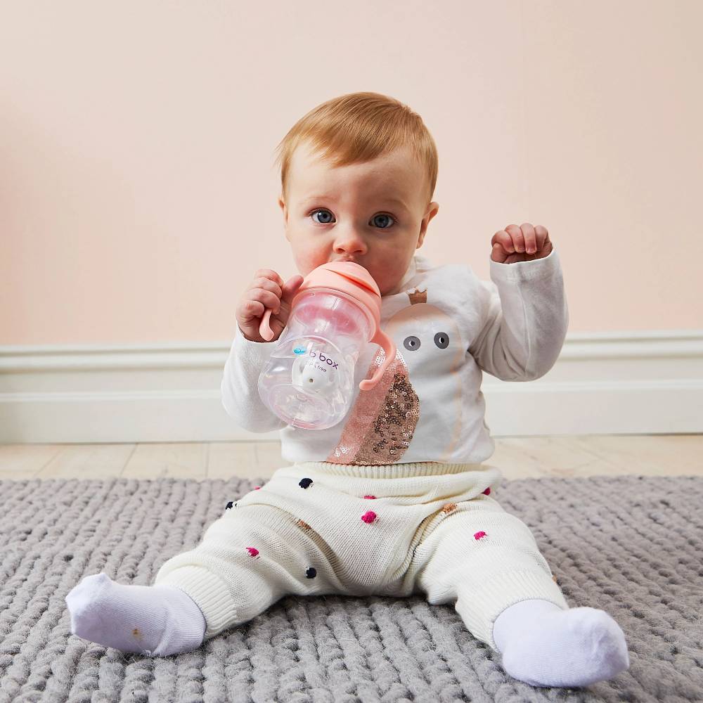 B. Box Sippy Cup V2 Tutti Frutti