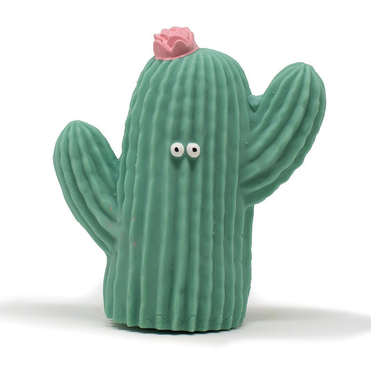 Bath Toy Cactus