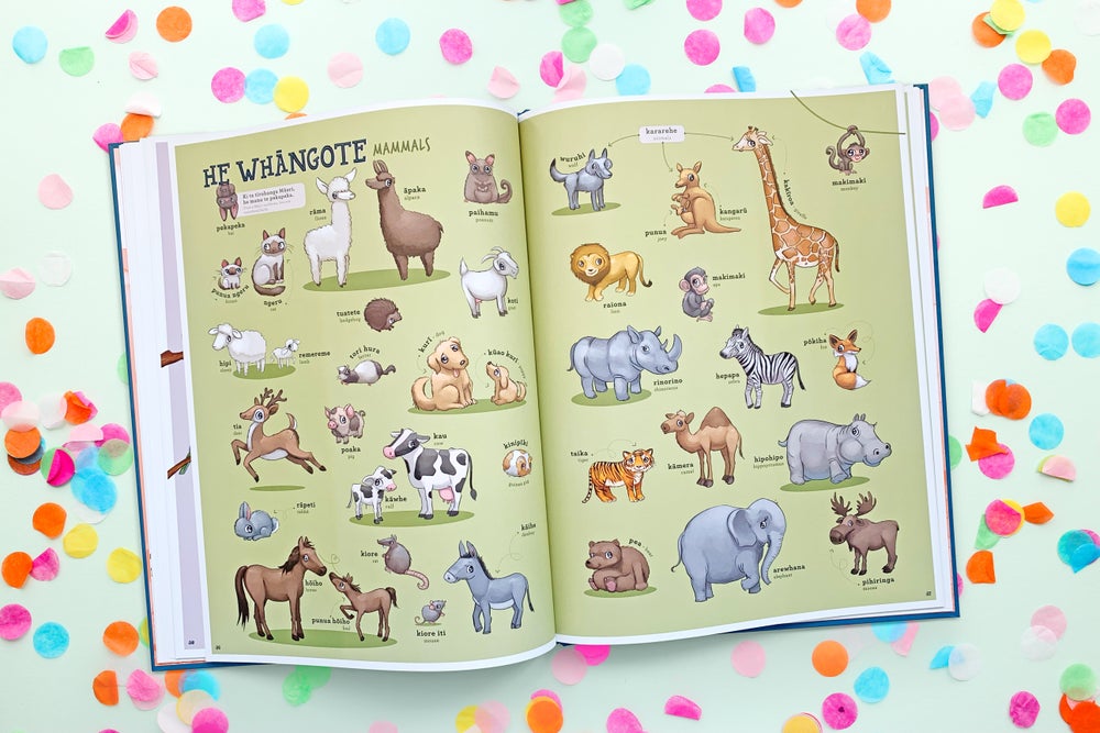 Kuwi & Friends Māori Picture Dictionary  - He Papakupu Whakaahua