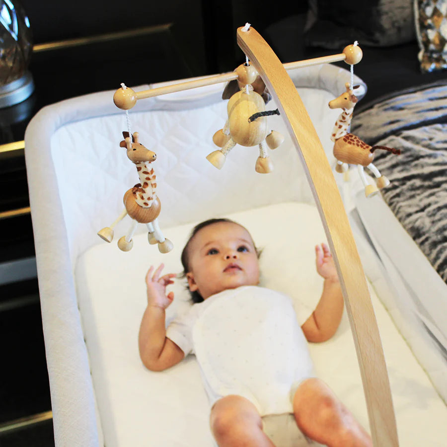 Babyhood sales co sleeper