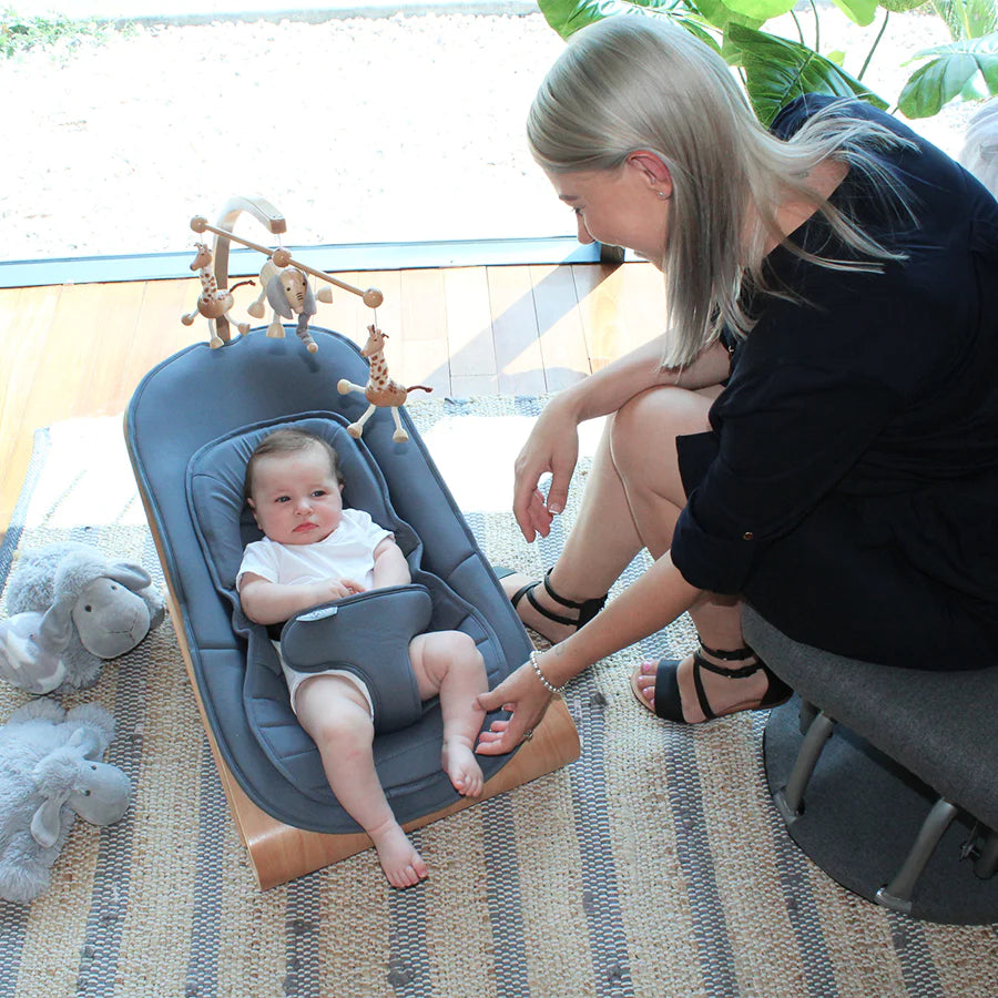Babyhood discount tommer bouncer