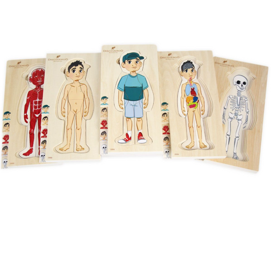 Discoveroo Boy 5 Layer Body Puzzle