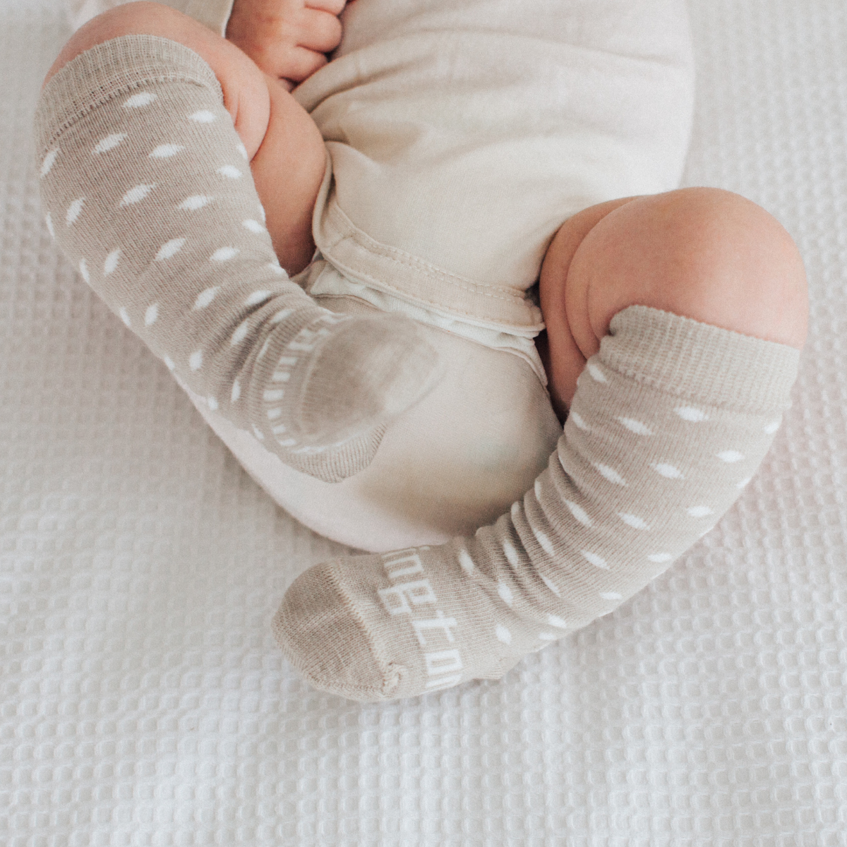 Lamington Baby Merino Knee High Socks Truffle